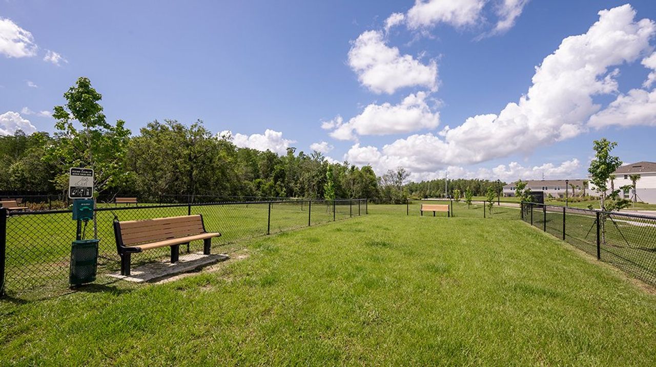Westview Amenity Dog Park 1of2 Westview Amenity Dog Park 1of2
