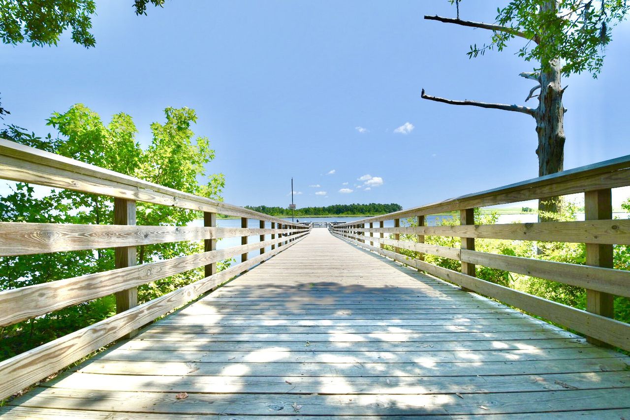 Natural surroundings and green spaces near Brunswick Cove in Winnabow, NC (Image 2). Natural surroundings and green spaces near Brunswick Cove in Winnabow, NC (Image 2).