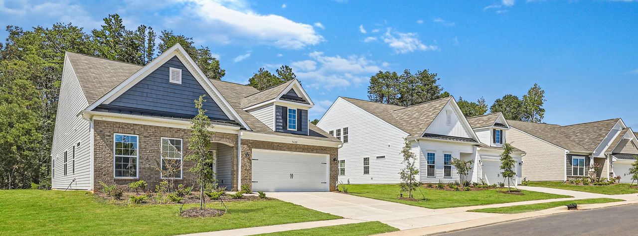 Meadows at Blue Ridge Community