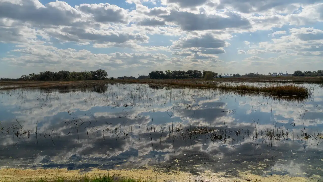 Savannah Wildlife Refuge landscape Savannah Wildlife Refuge landscape