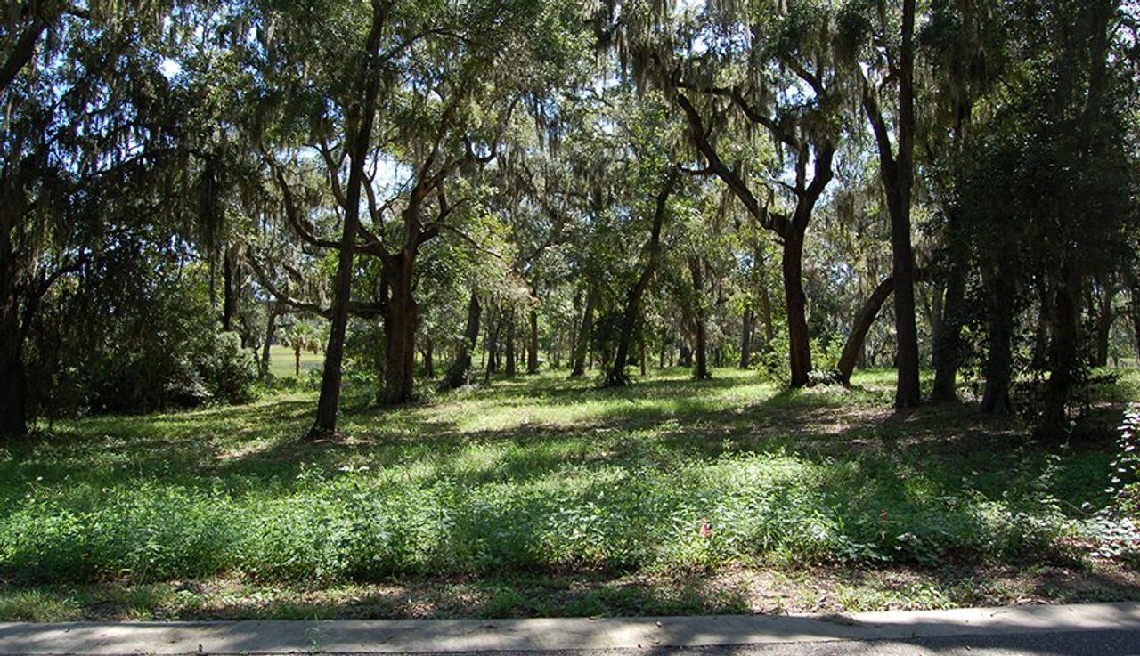 Community amenity available to residents of Waterman's Bluff in Yulee (Image 2).