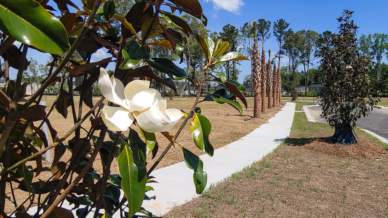 Image 2 of the The Crossing at Verdier community in Charleston, SC.