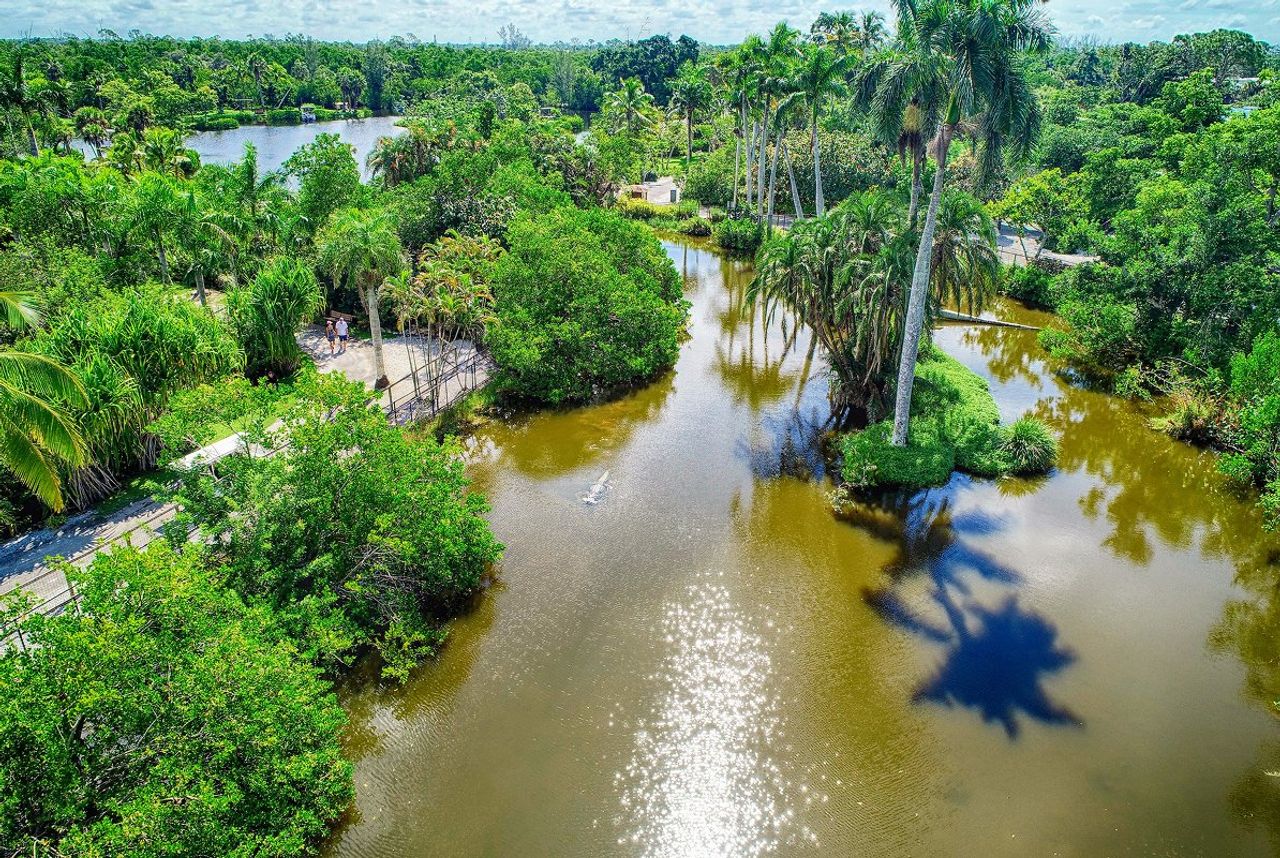 Naples Zoo Alligator Bay 1 29 26