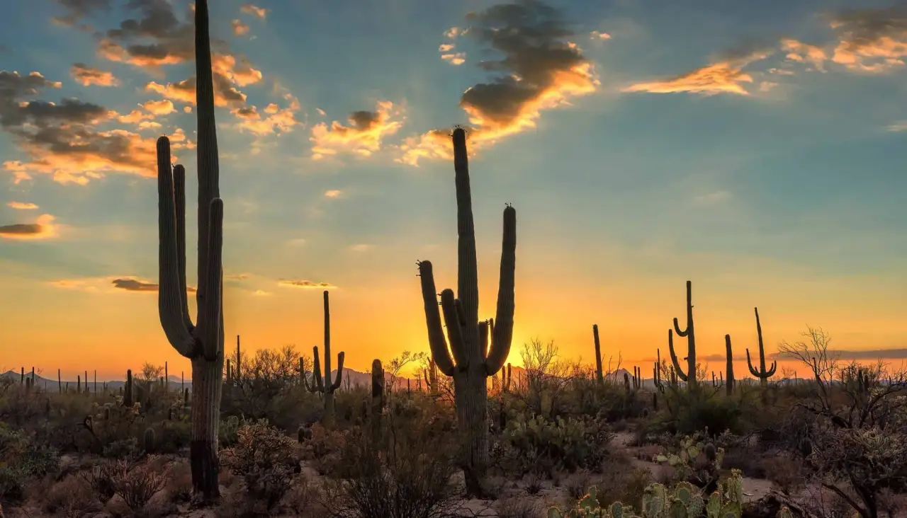 Natural surroundings and green spaces near La Estancia in Tucson, AZ (Image 2).