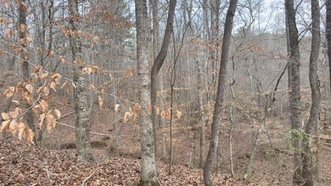 Natural landscape and outdoor views near  in Douglasville (Image 2).