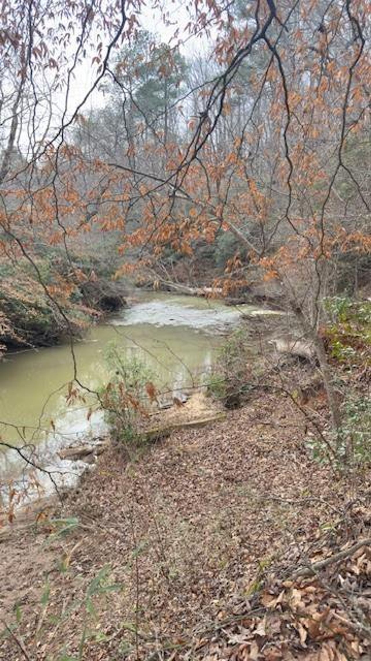 Natural landscape and outdoor views near in Douglasville (Image 2). Natural landscape and outdoor views near in Douglasville (Image 2).