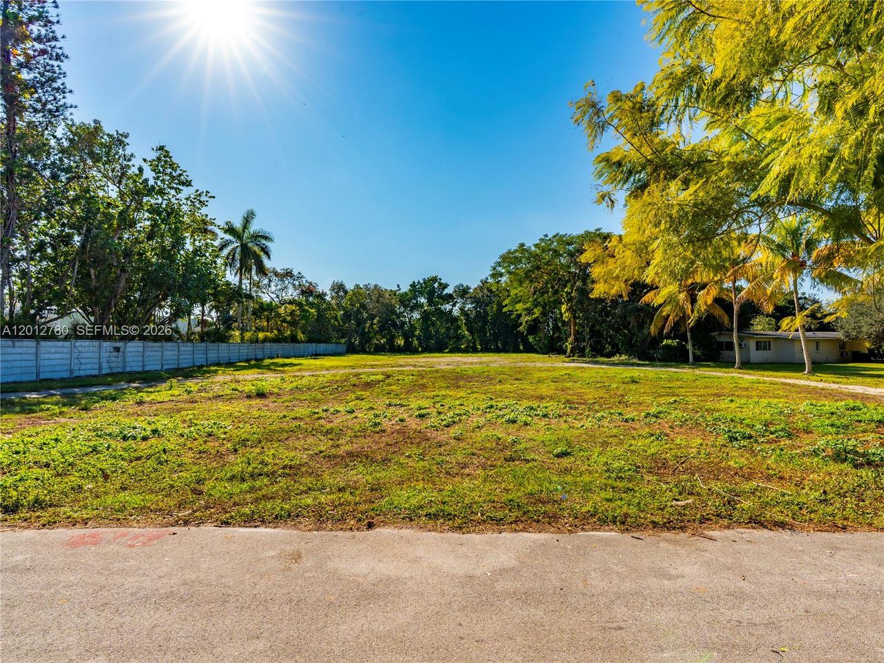 Natural landscape and outdoor views near  in Miami (Image 2).