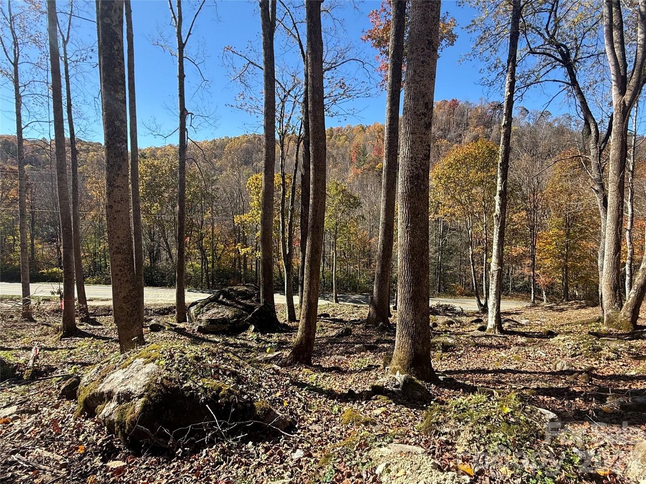 Natural landscape and outdoor views near  in Elk Park (Image 2).