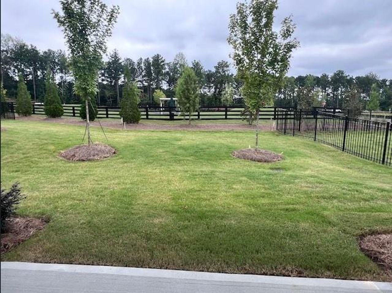 Exterior details and patio area of a home in The Reserve at Bells Ferry, Kennesaw (Image 2).
