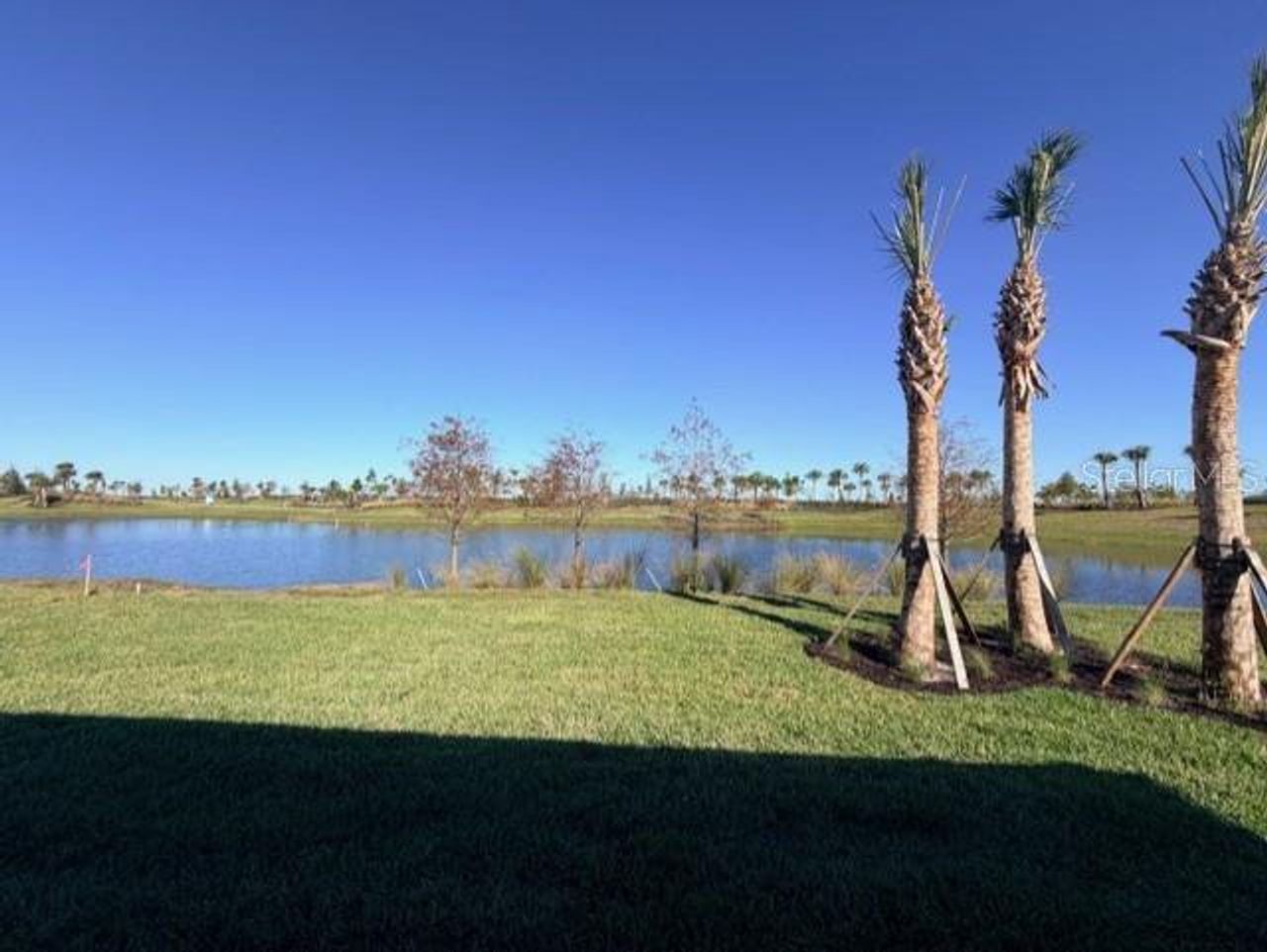 Natural landscape and outdoor views near Del Webb Catalina in Lakewood Ranch (Image 2). Natural landscape and outdoor views near Del Webb Catalina in Lakewood Ranch (Image 2).