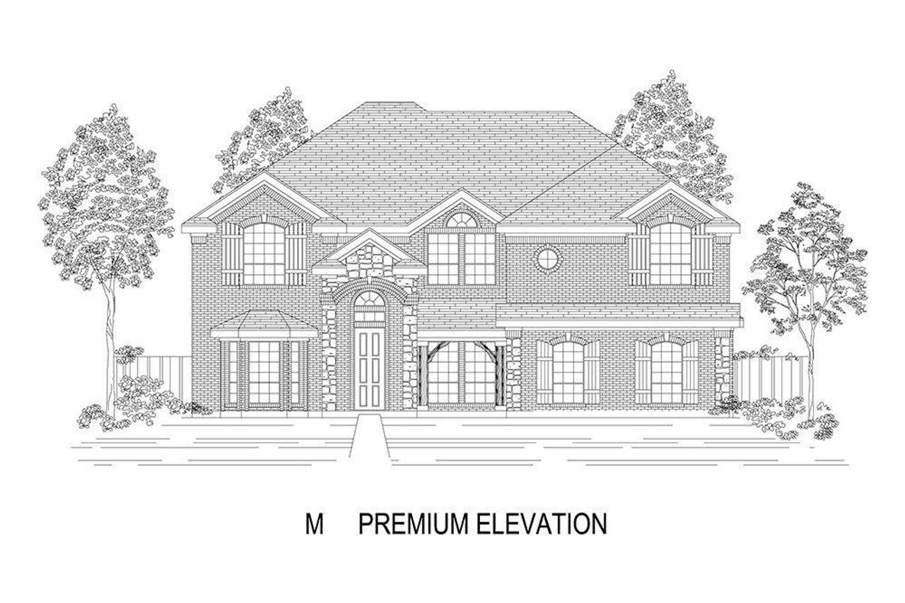 Elevation M