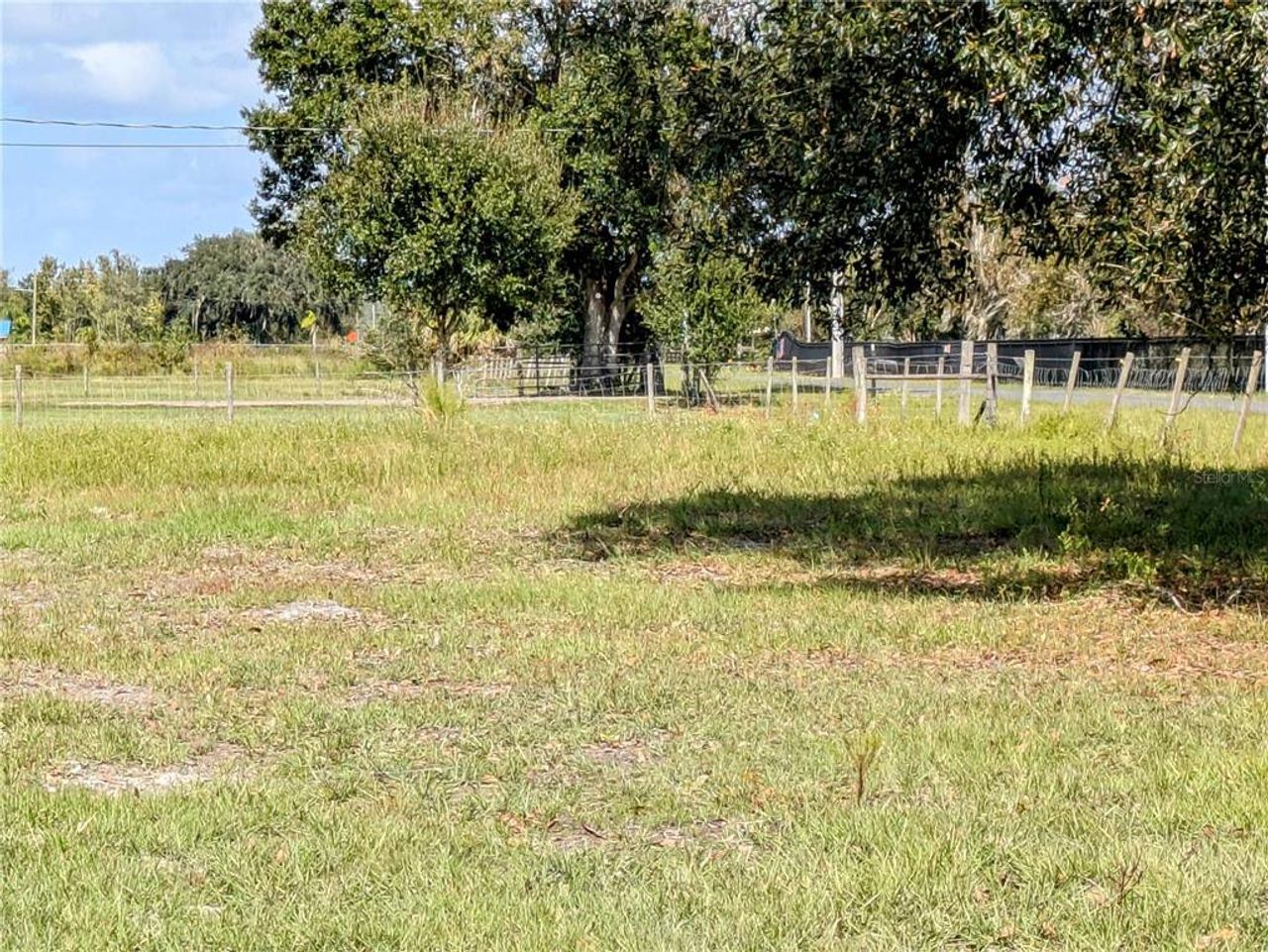 Natural landscape and outdoor views near  in Kissimmee (Image 2).
