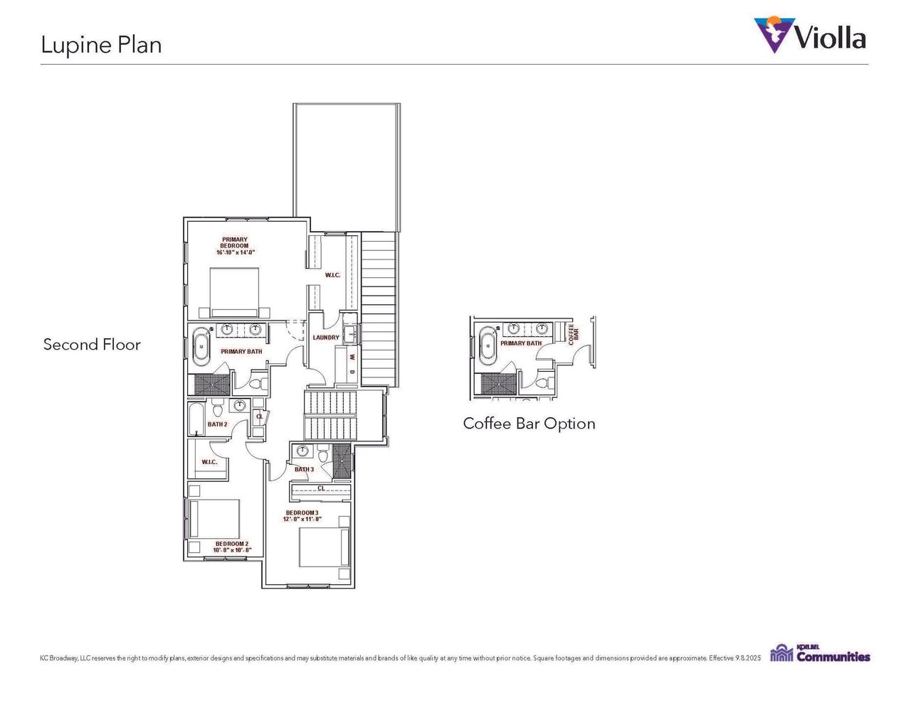 Lupine Second Level Lupine Second Level