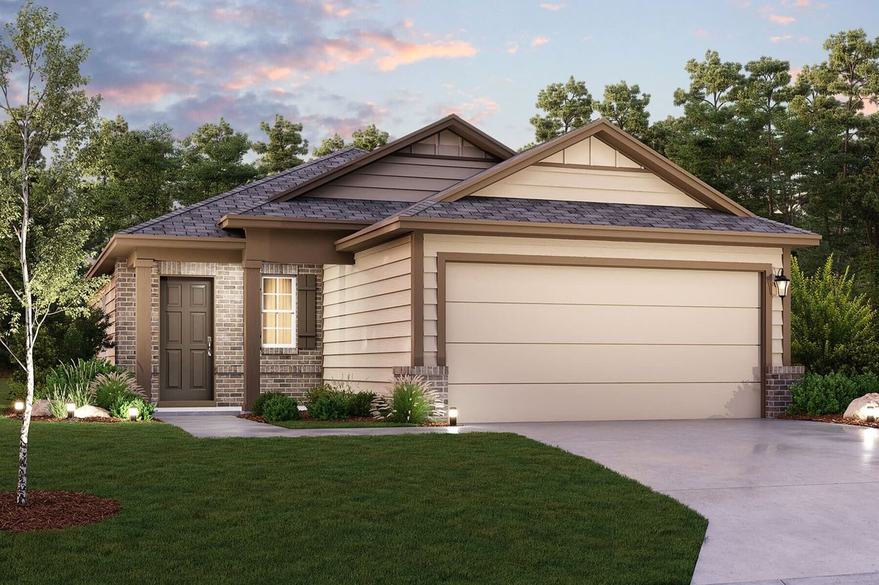 Hibiscus Elevation B Hibiscus Elevation B