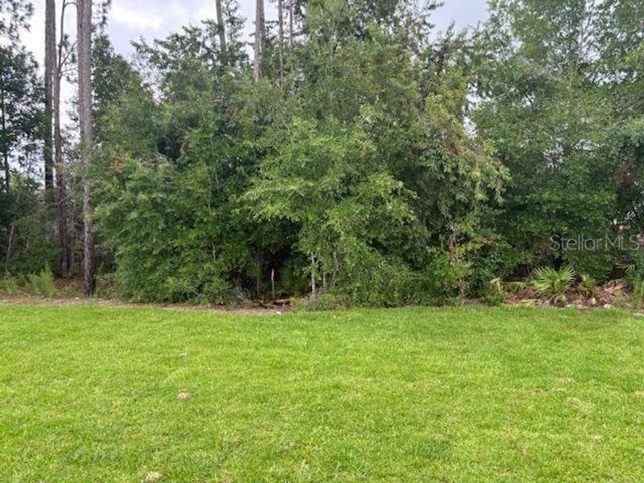 Natural landscape and outdoor views near Juliette Falls in Dunnellon (Image 2).