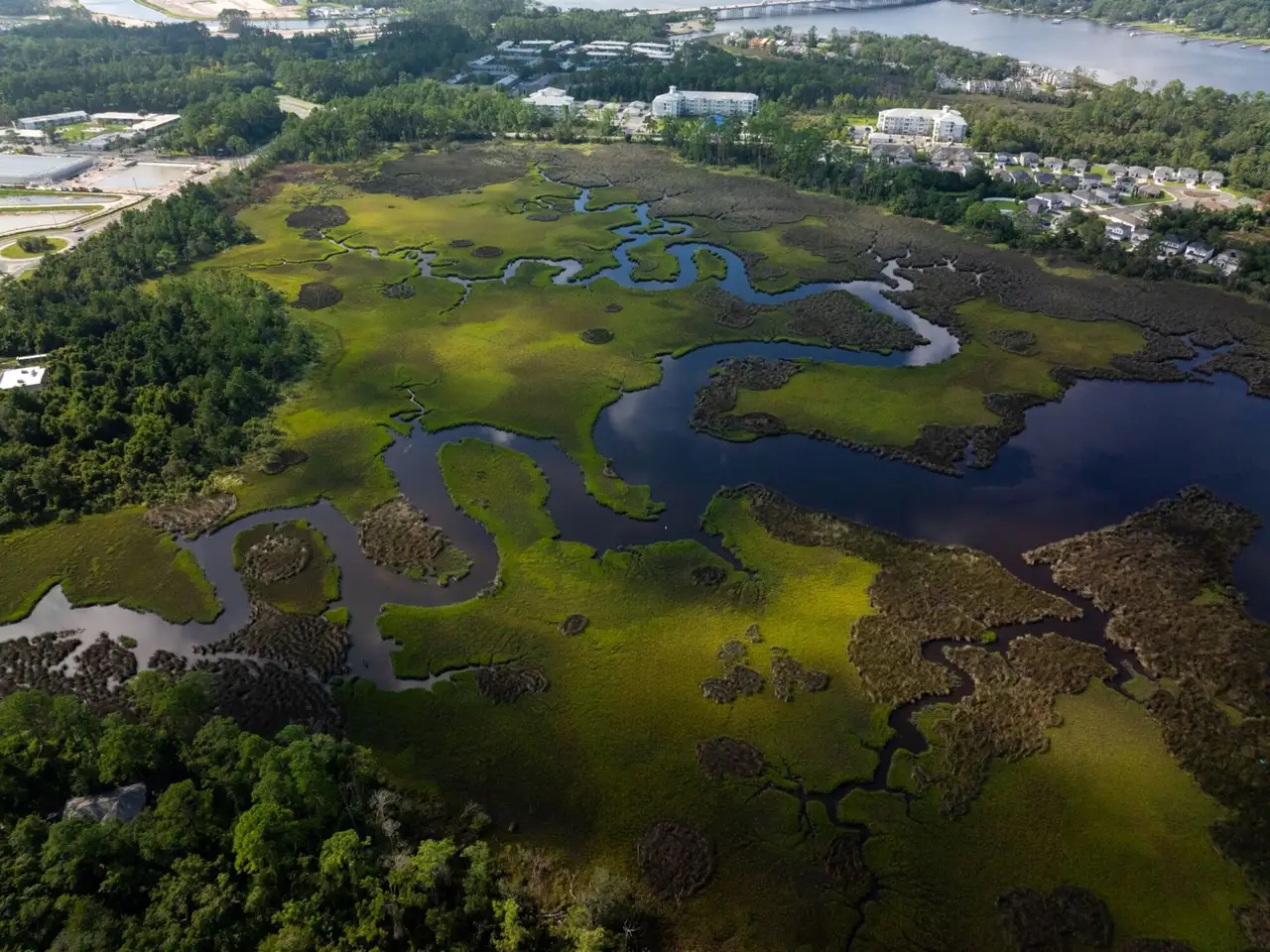 Natural landscape and outdoor views near Egret Creek in Jacksonville (Image 2).