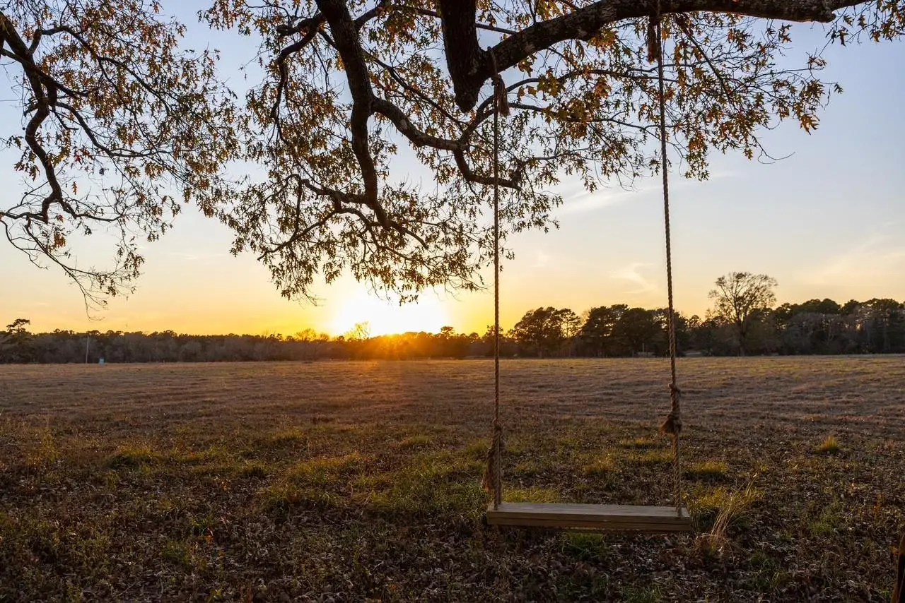 Natural landscape and outdoor views near  in New Waverly (Image 2).
