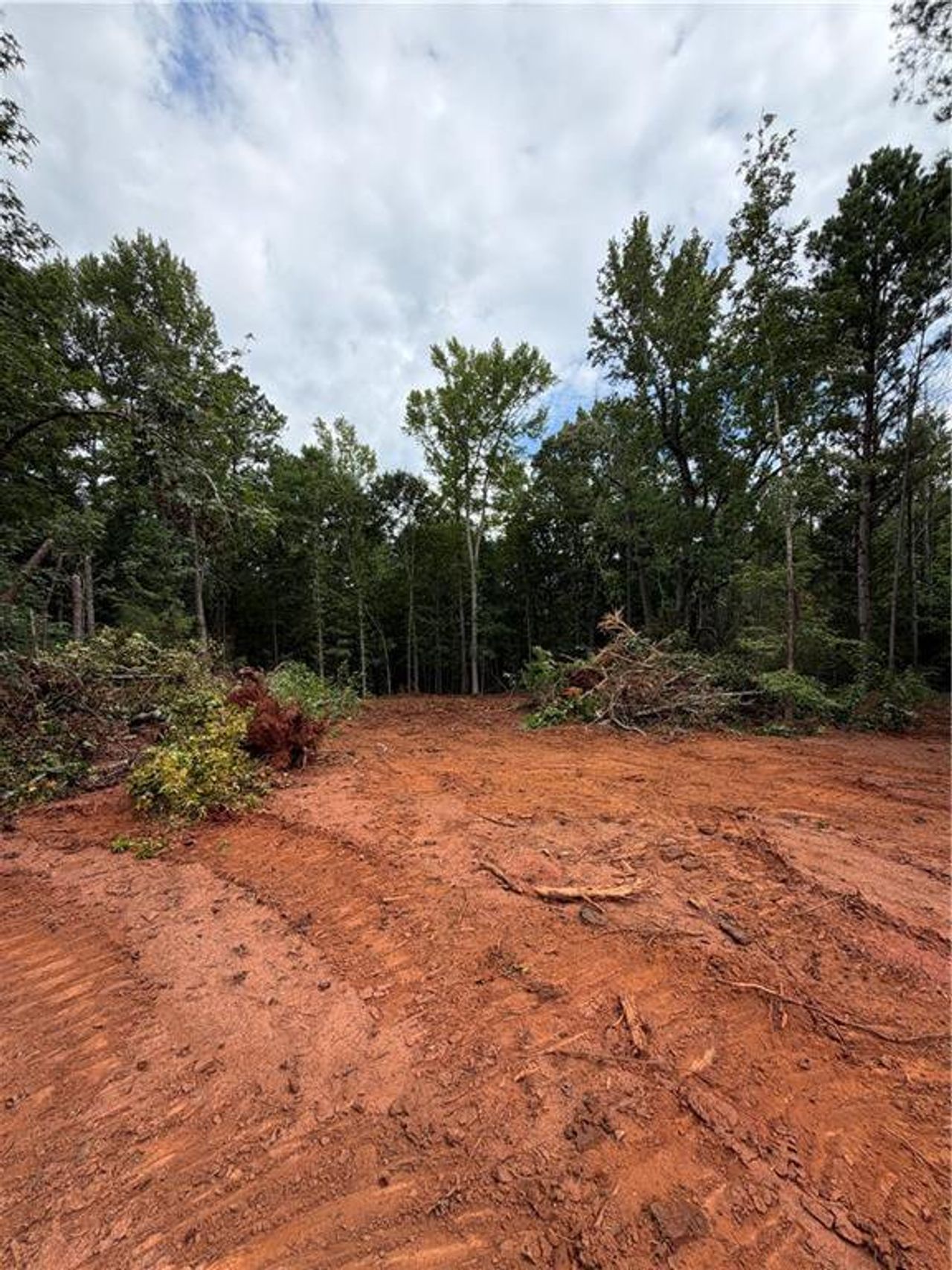 Site preparation for new homesites in , Williamson (Image 2).