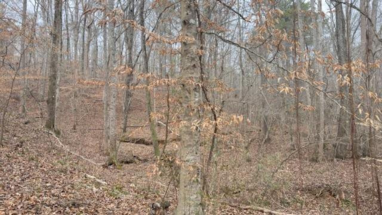 Natural landscape and outdoor views near  in Douglasville (Image 2).