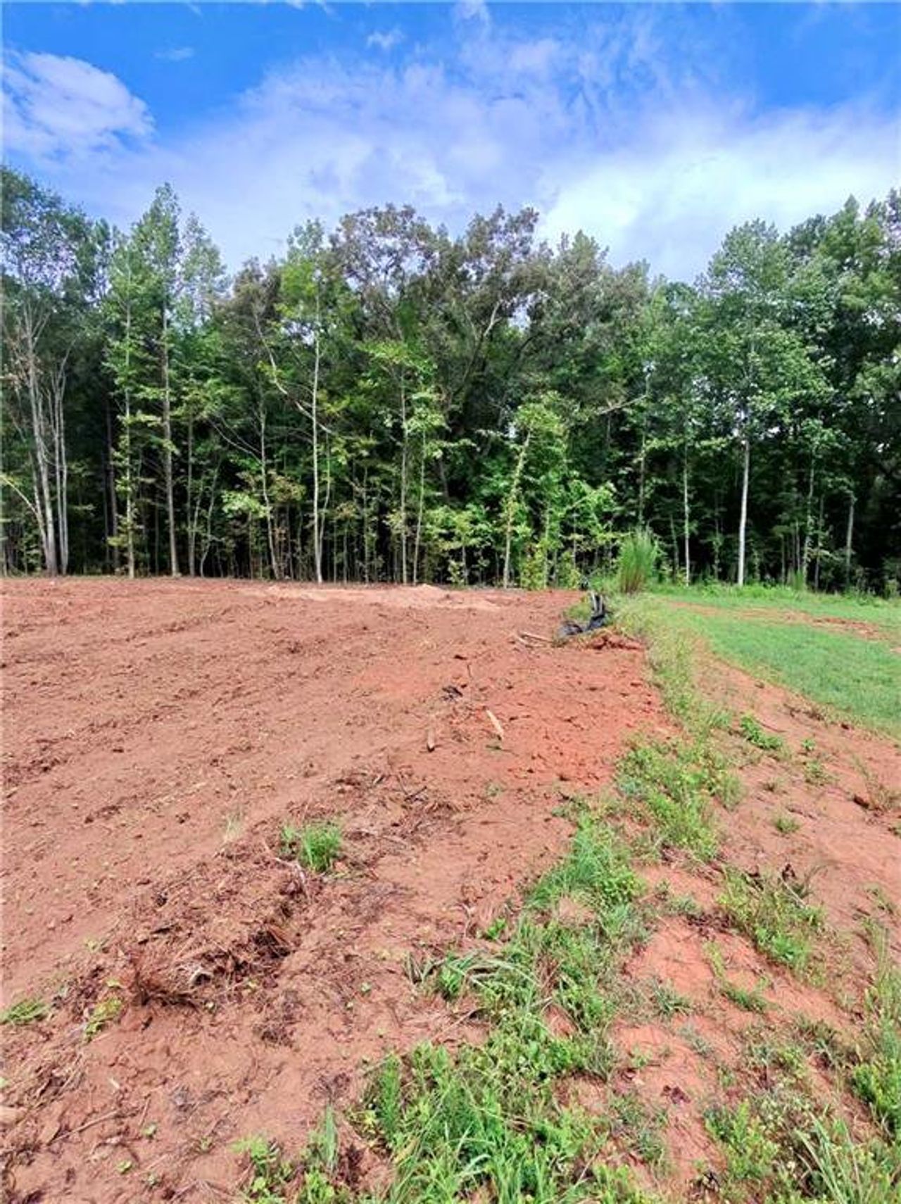 Site preparation for new homesites in , Williamson (Image 2).