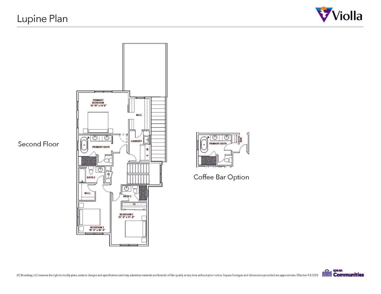 Lupine Second Level Lupine Second Level