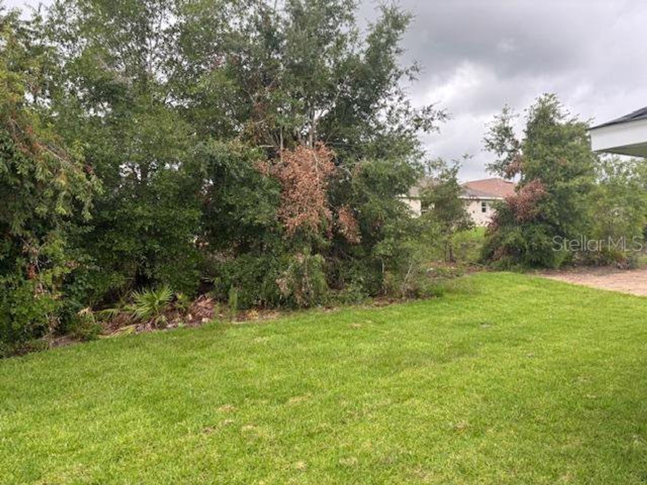 Natural landscape and outdoor views near Juliette Falls in Dunnellon (Image 2).