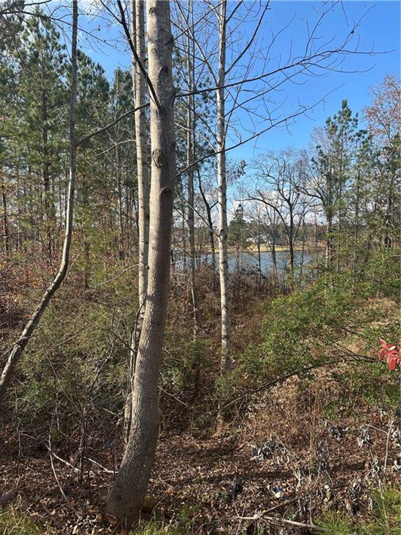 Natural landscape and outdoor views near  in Villa Rica (Image 2).