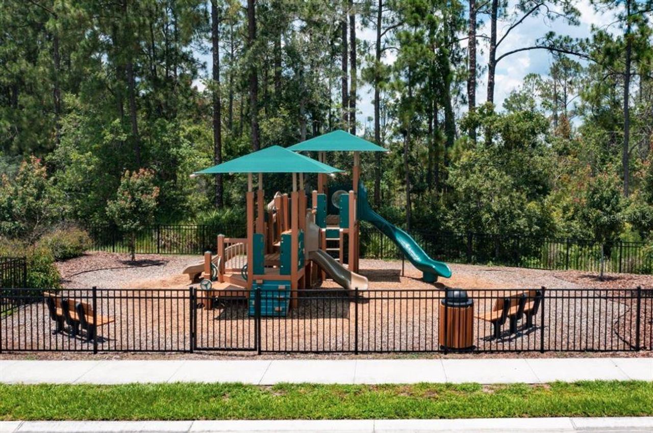 Community amenities in Preservation Pointe, Davenport (Image 2).
