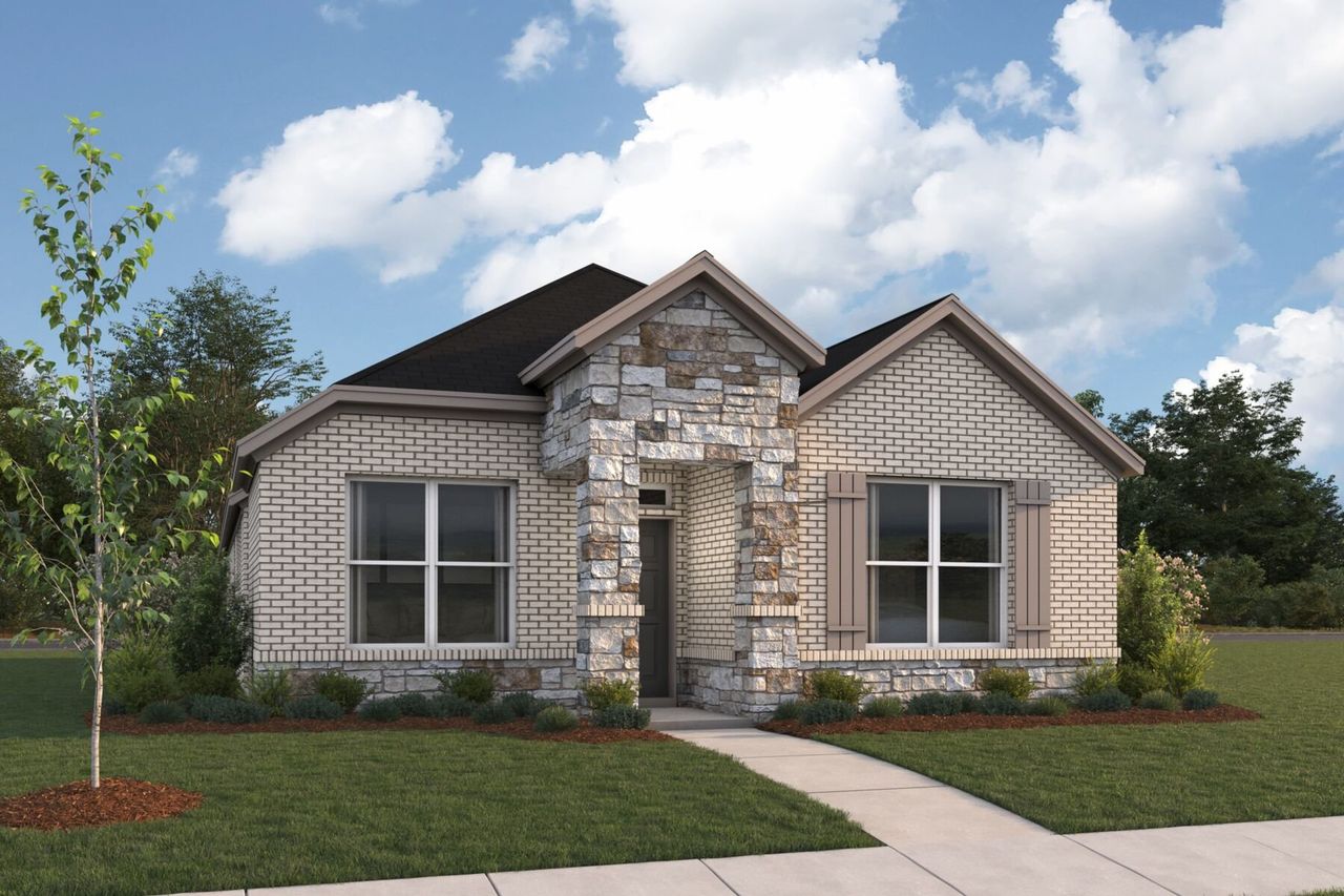 3103 Elevation Zinnia