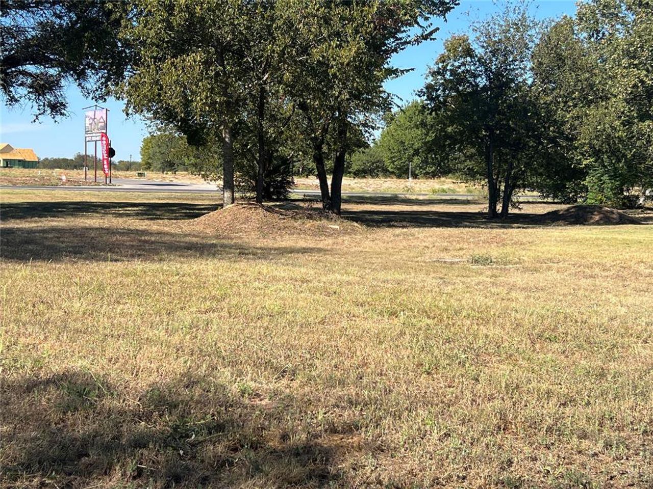 View of green lawn View of green lawn