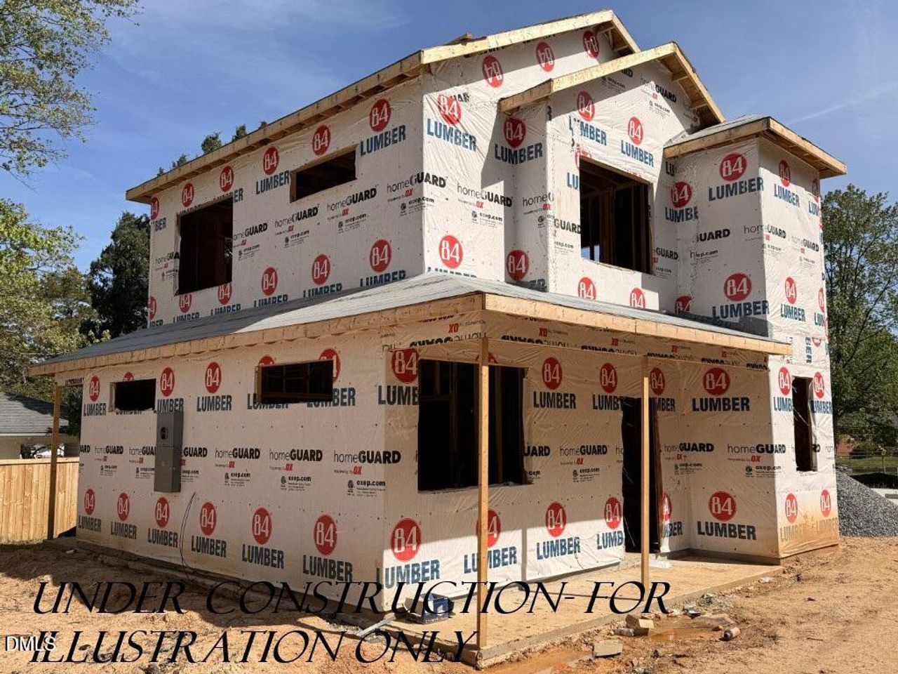 IMG_0229 (Medium) - Copy