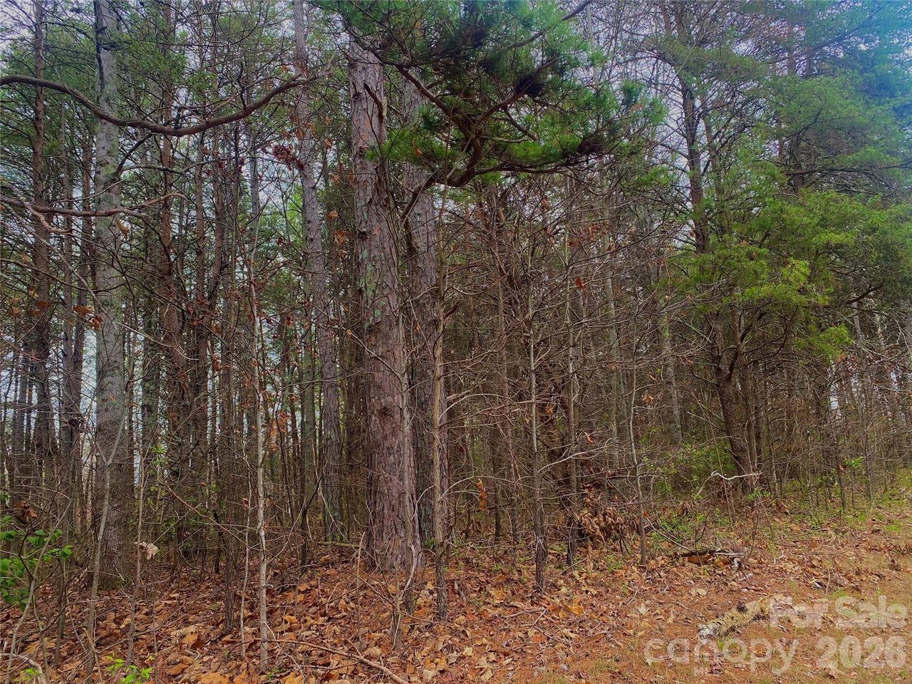 302 Lewis Ferry Rd, lot 21 - Mostly flat lot, home to be started April 2026