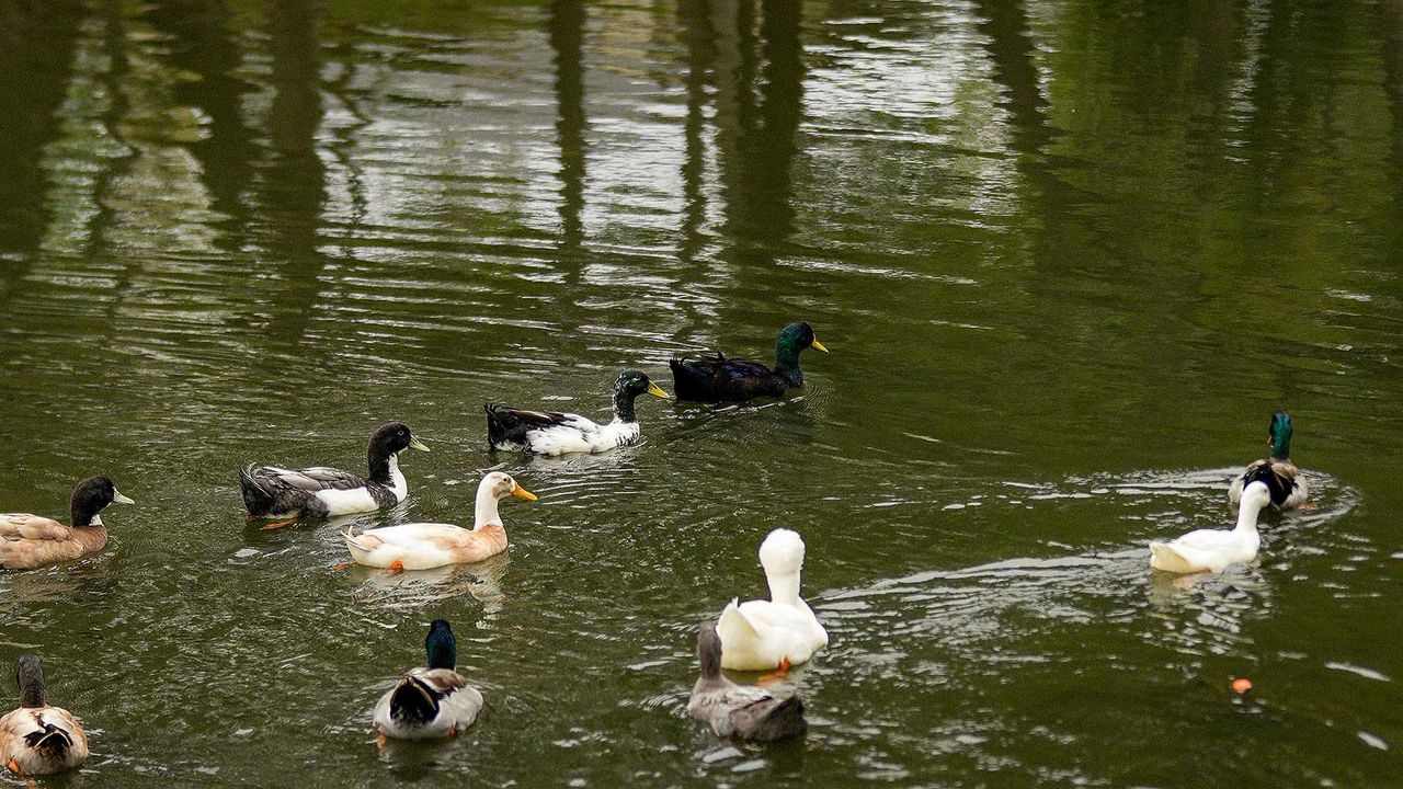 Image 2 of a home in Clear Creek. Image 2 of a home in Clear Creek.