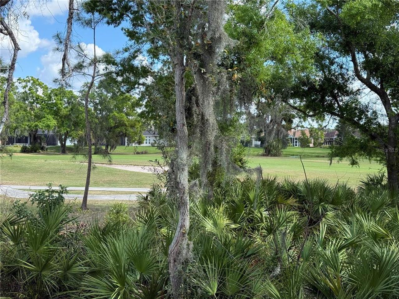 Natural landscape and outdoor views near Fairway Pointe - 55+ Villa Community in Sun City Center (Image 2).