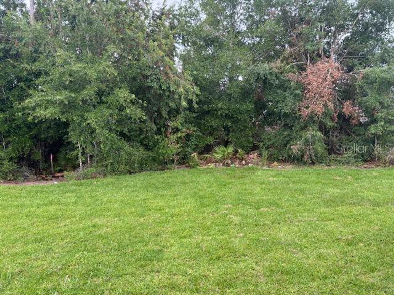 Natural landscape and outdoor views near Juliette Falls in Dunnellon (Image 2).
