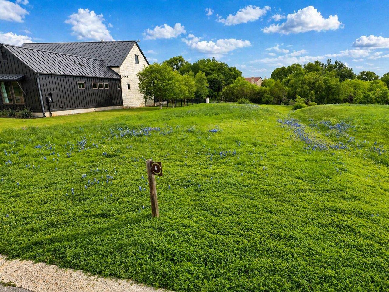 Expansive green space featuring scattered blue flora and a gentle slope