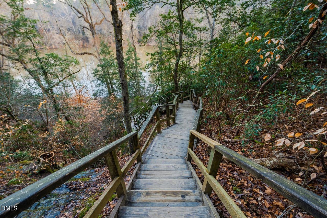 Magnolia Raven Rock State Park