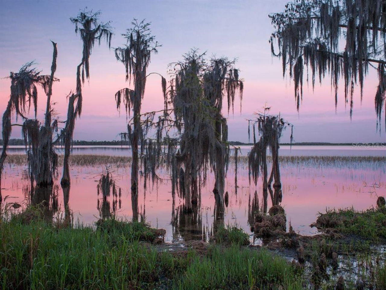 Natural landscape and outdoor views near  in Orlando (Image 2).