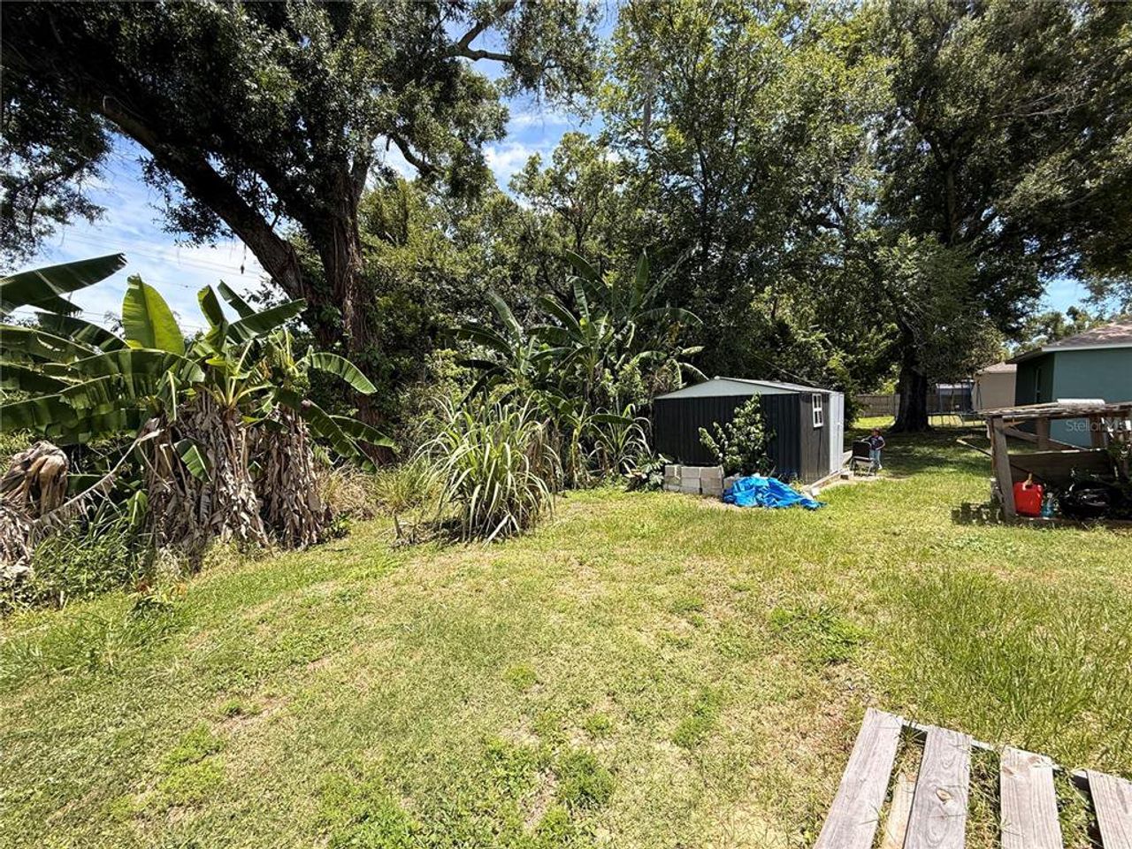 Natural landscape and outdoor views near  in Winter Haven (Image 2).
