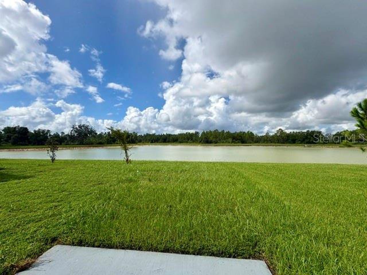 Natural landscape and outdoor views near Northwater at Two Rivers in Zephyrhills (Image 2).