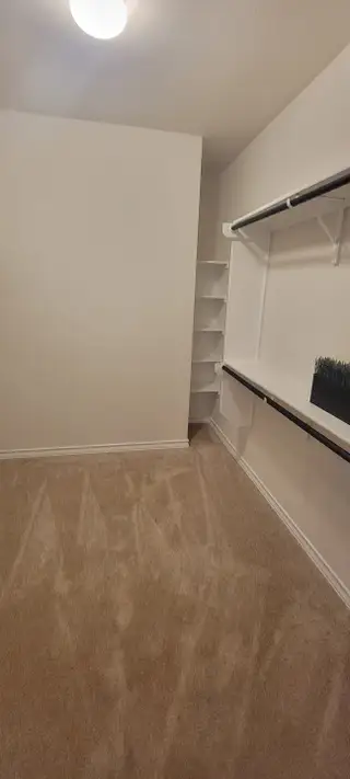 A walk-in closet with neutral carpet, white walls, and built-in shelving offers ample storage and organization space.