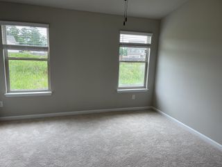 A bright room with neutral walls, plush carpet, and large windows overlooking lush greenery.