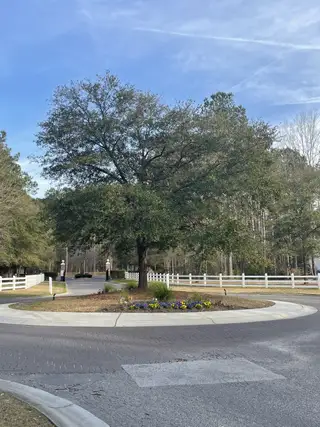 Street view A serene street view with a landscaped roundabout in Carolina Bay by Center Park Homes (Ridgeville, SC).