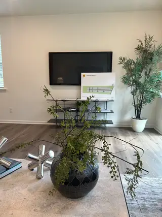 A modern living room with a sleek TV, potted plant, and elegant decor on a wooden floor.