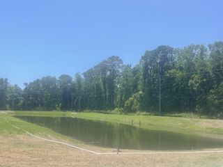 A serene pond surrounded by lush greenery in Miller's Crossing by Dream Finders Homes (Johns Island, SC).