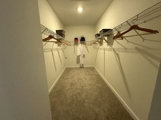 A spacious walk-in closet with ample shelving, wooden hangers, and cozy carpet flooring.