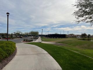Scenic parkway with lush greenery in CantaMia at Estrella 55+ by Taylor Morrison, Goodyear, AZ.