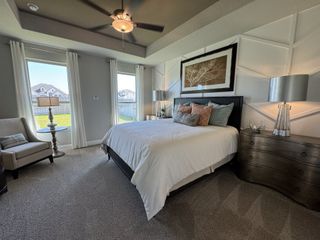 A cozy bedroom with a tray ceiling, elegant lighting, plush carpet, and contemporary decor.