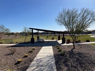 A serene park with a shaded pavilion and landscaped paths in The Palms Collection at The Trails at Tortosa by Century Communities.