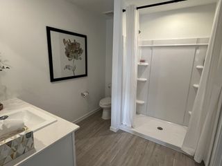 Model Home A modern bathroom featuring a sleek shower, stylish art piece, and elegant vanity with contemporary finishes.